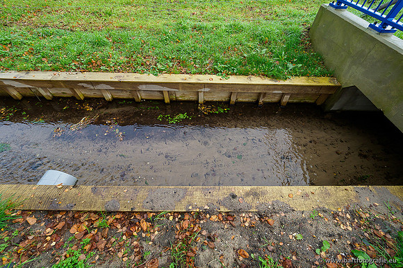 Zuidelijke en Middelste Horsthoekerbeek 061119-004