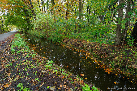 Zuidelijke en Middelste Horsthoekerbeek 061119-006