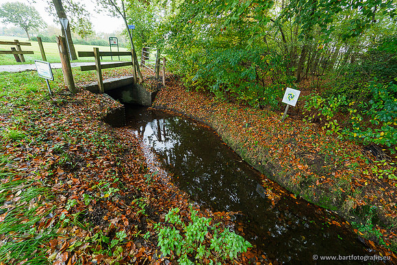 Zuidelijke en Middelste Horsthoekerbeek 061119-008