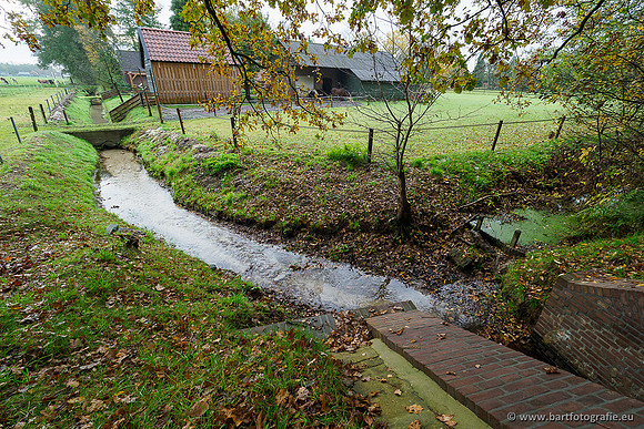 Zuidelijke en Middelste Horsthoekerbeek 061119-009