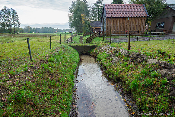 Zuidelijke en Middelste Horsthoekerbeek 061119-011