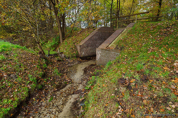 Zuidelijke en Middelste Horsthoekerbeek 061119-012
