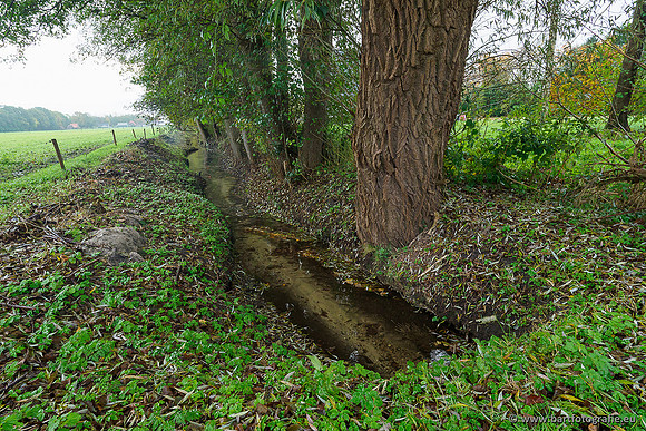 Zuidelijke en Middelste Horsthoekerbeek 061119-013