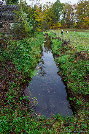 Zuidelijke en Middelste Horsthoekerbeek 061119-016