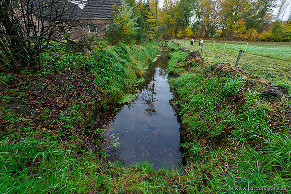 Zuidelijke en Middelste Horsthoekerbeek 061119-017