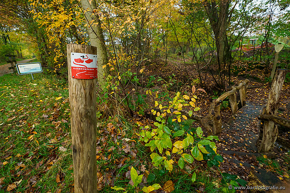 Zuidelijke en Middelste Horsthoekerbeek 061119-021
