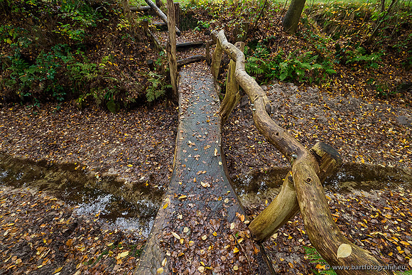 Zuidelijke en Middelste Horsthoekerbeek 061119-029