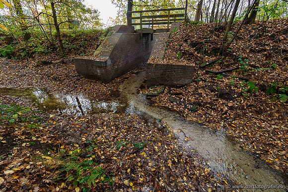 Zuidelijke en Middelste Horsthoekerbeek 061119-030