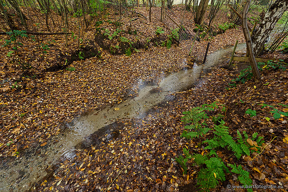 Zuidelijke en Middelste Horsthoekerbeek 061119-031