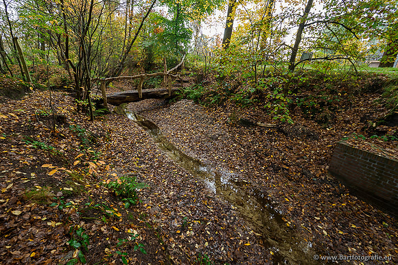 Zuidelijke en Middelste Horsthoekerbeek 061119-032