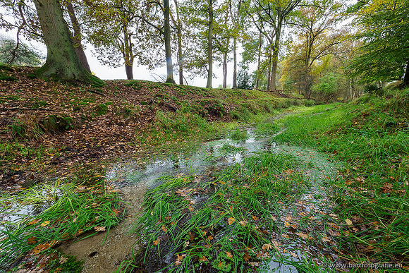 Zuidelijke en Middelste Horsthoekerbeek 061119-034