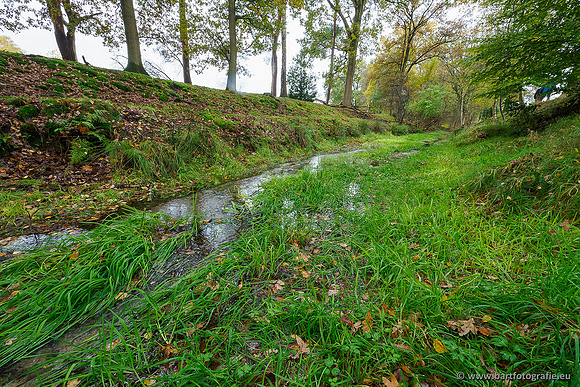 Zuidelijke en Middelste Horsthoekerbeek 061119-035