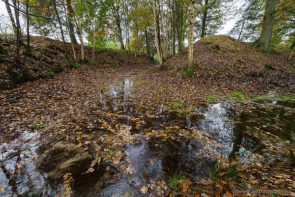 Zuidelijke en Middelste Horsthoekerbeek 061119-036