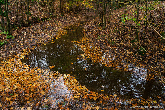 Zuidelijke en Middelste Horsthoekerbeek 061119-042