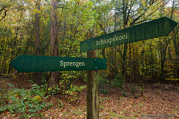 Zuidelijke en Middelste Horsthoekerbeek 061119-044