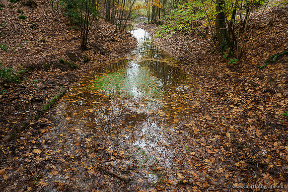 Zuidelijke en Middelste Horsthoekerbeek 061119-045