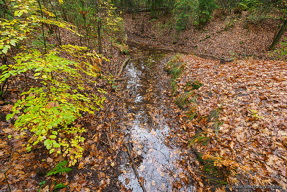 Zuidelijke en Middelste Horsthoekerbeek 061119-049