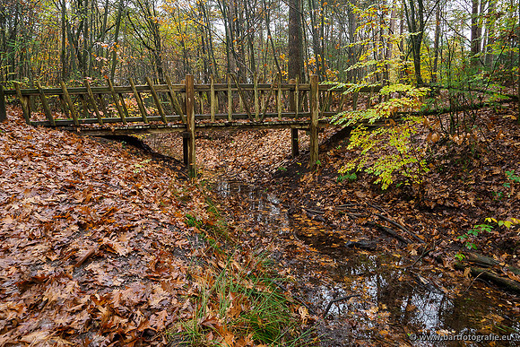Zuidelijke en Middelste Horsthoekerbeek 061119-056