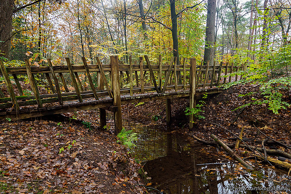 Zuidelijke en Middelste Horsthoekerbeek 061119-061