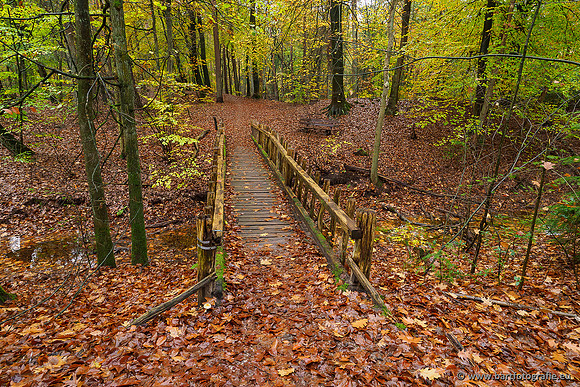 Zuidelijke en Middelste Horsthoekerbeek 061119-062