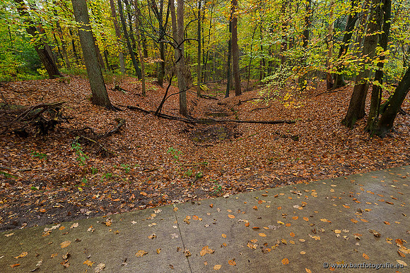 Zuidelijke en Middelste Horsthoekerbeek 061119-065