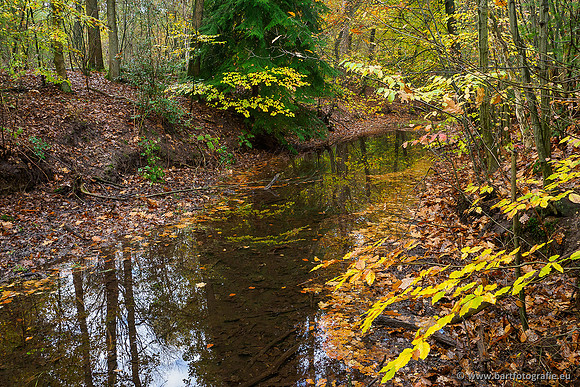Zuidelijke en Middelste Horsthoekerbeek 061119-070