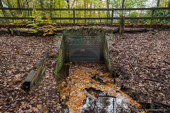 Zuidelijke en Middelste Horsthoekerbeek 061119-071