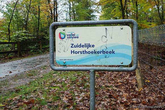 Zuidelijke en Middelste Horsthoekerbeek 061119-072