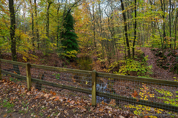 Zuidelijke en Middelste Horsthoekerbeek 061119-073