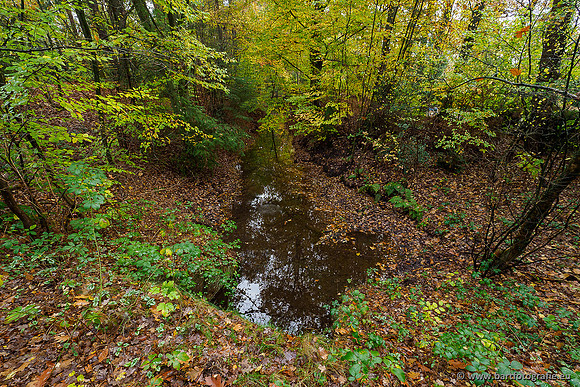 Zuidelijke en Middelste Horsthoekerbeek 061119-075