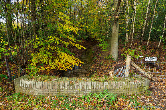 Zuidelijke en Middelste Horsthoekerbeek 061119-076