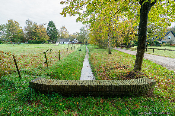 Zuidelijke en Middelste Horsthoekerbeek 061119-077