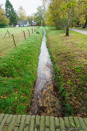 Zuidelijke en Middelste Horsthoekerbeek 061119-078