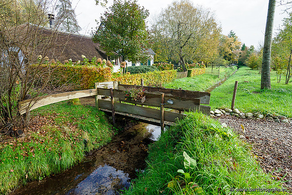 Zuidelijke en Middelste Horsthoekerbeek 061119-079