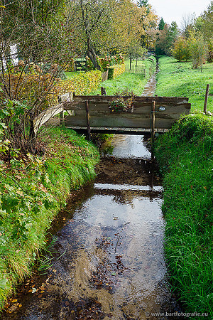 Zuidelijke en Middelste Horsthoekerbeek 061119-080