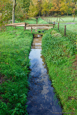 Zuidelijke en Middelste Horsthoekerbeek 061119-081