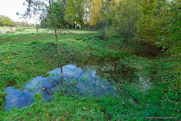 Zuidelijke en Middelste Horsthoekerbeek 061119-082