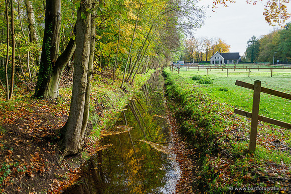 Zuidelijke en Middelste Horsthoekerbeek 061119-085