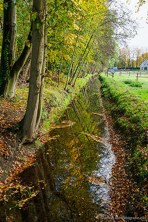 Zuidelijke en Middelste Horsthoekerbeek 061119-086