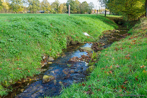 Zuidelijke en Middelste Horsthoekerbeek 061119-089