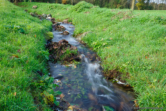 Zuidelijke en Middelste Horsthoekerbeek 061119-093