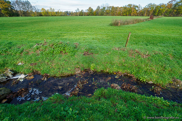 Zuidelijke en Middelste Horsthoekerbeek 061119-094