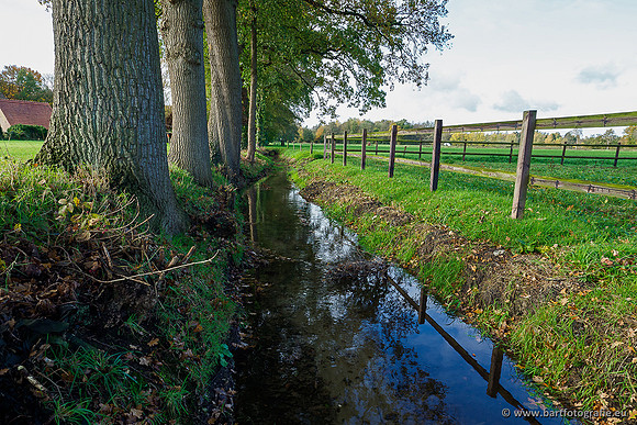 Zuidelijke en Middelste Horsthoekerbeek 061119-095