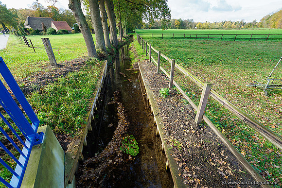 Zuidelijke en Middelste Horsthoekerbeek 061119-096