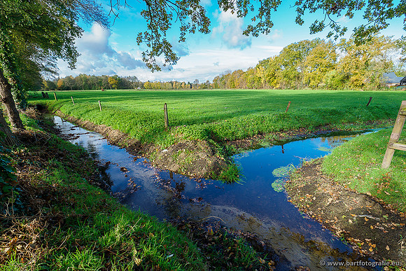 Zuidelijke en Middelste Horsthoekerbeek 061119-097