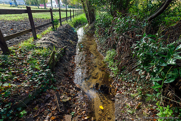 Zuidelijke en Middelste Horsthoekerbeek 061119-099