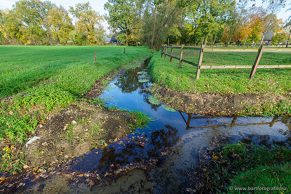 Zuidelijke en Middelste Horsthoekerbeek 061119-098