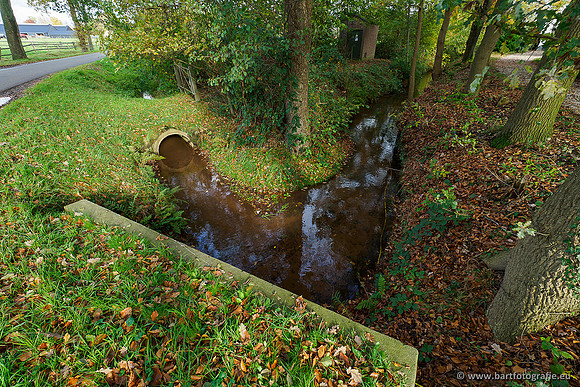 Zuidelijke en Middelste Horsthoekerbeek 061119-102