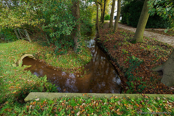 Zuidelijke en Middelste Horsthoekerbeek 061119-103