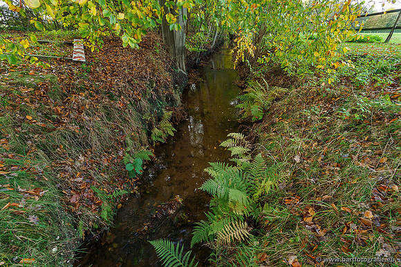 Zuidelijke en Middelste Horsthoekerbeek 061119-104